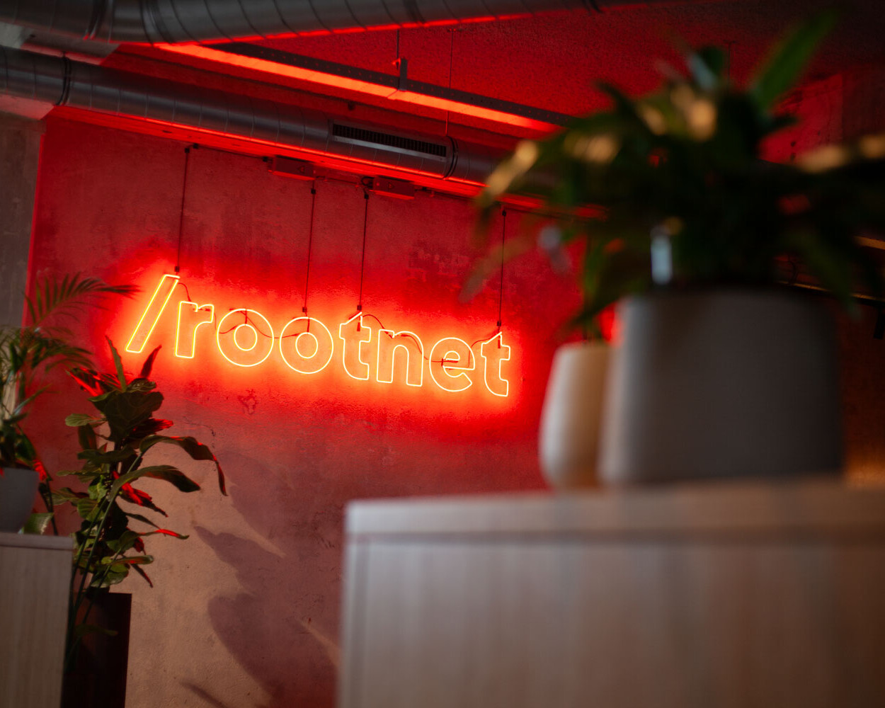Branding photography - Rootnet / © Mike Nicolaassen
