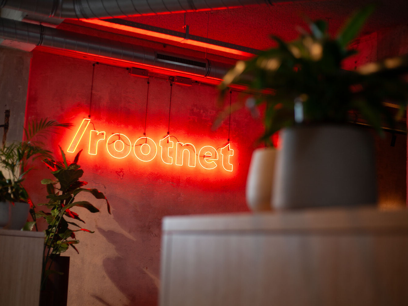 Branding photography - Rootnet / © Mike Nicolaassen