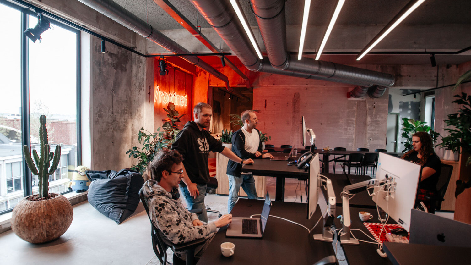 Branding photography - Rootnet / © Mike Nicolaassen